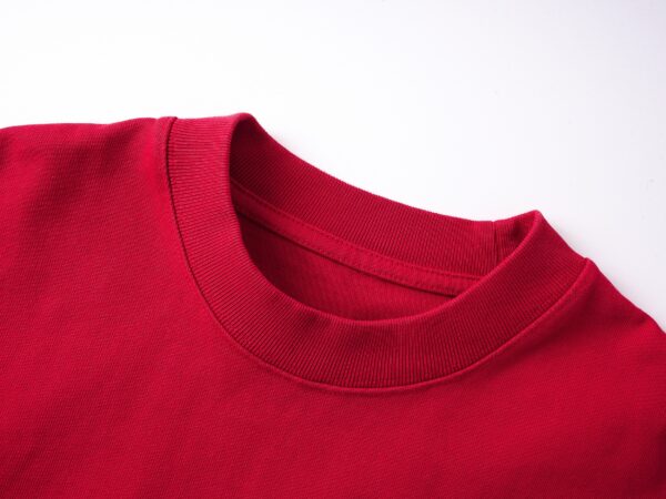Basics-editions - 360 GSM T-SHIRT - “RED” – Image 6
